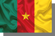 D:\РИСУНКИ\флаги\Камерун.png